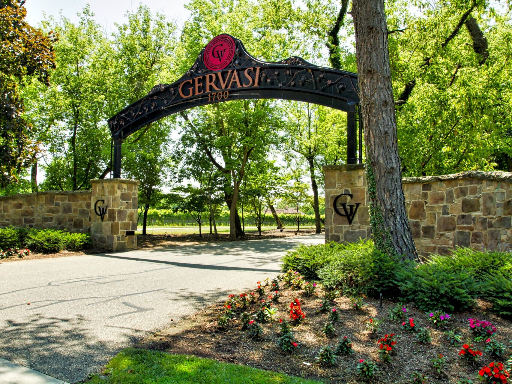 Picture of Gervasi Vineyard