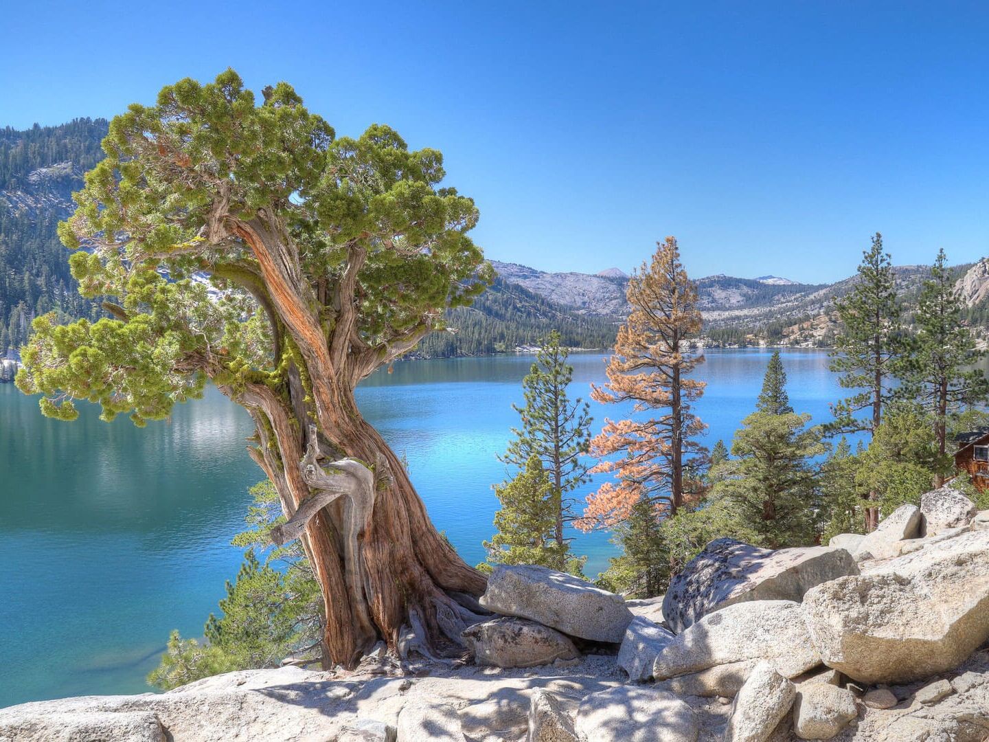Picture of Hiking