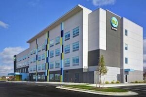 Picture of TRU by Hilton Winchester
