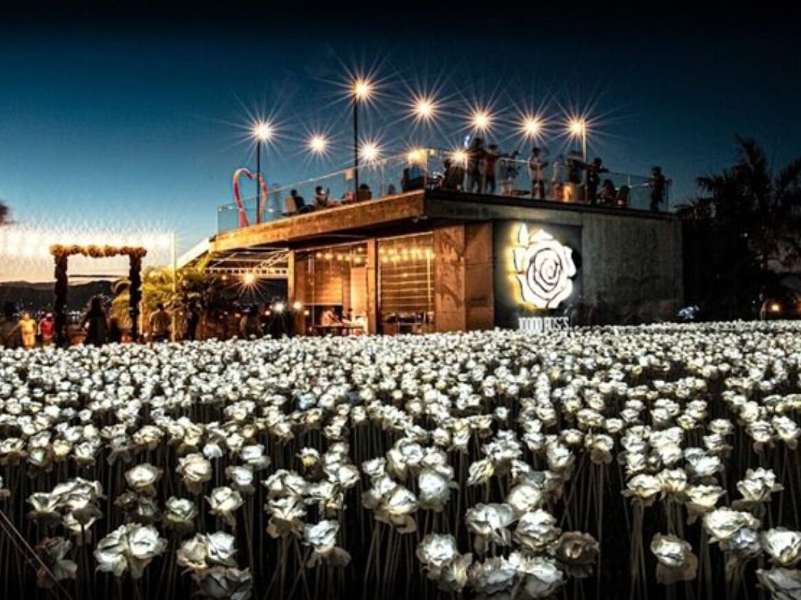 Picture of 10000 Roses Cafe & More
