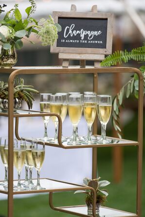 Champagne Display Shelf Decorated with Plants