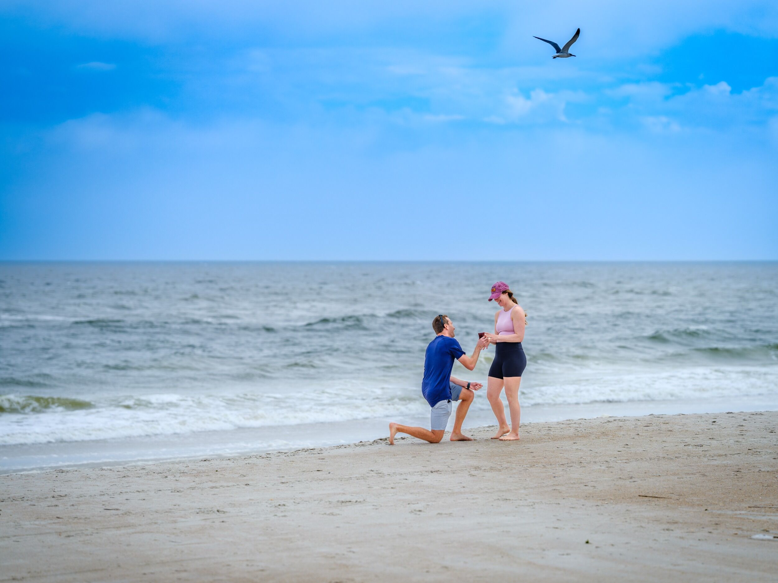 Picture of THE PROPOSAL - 11/11/2023