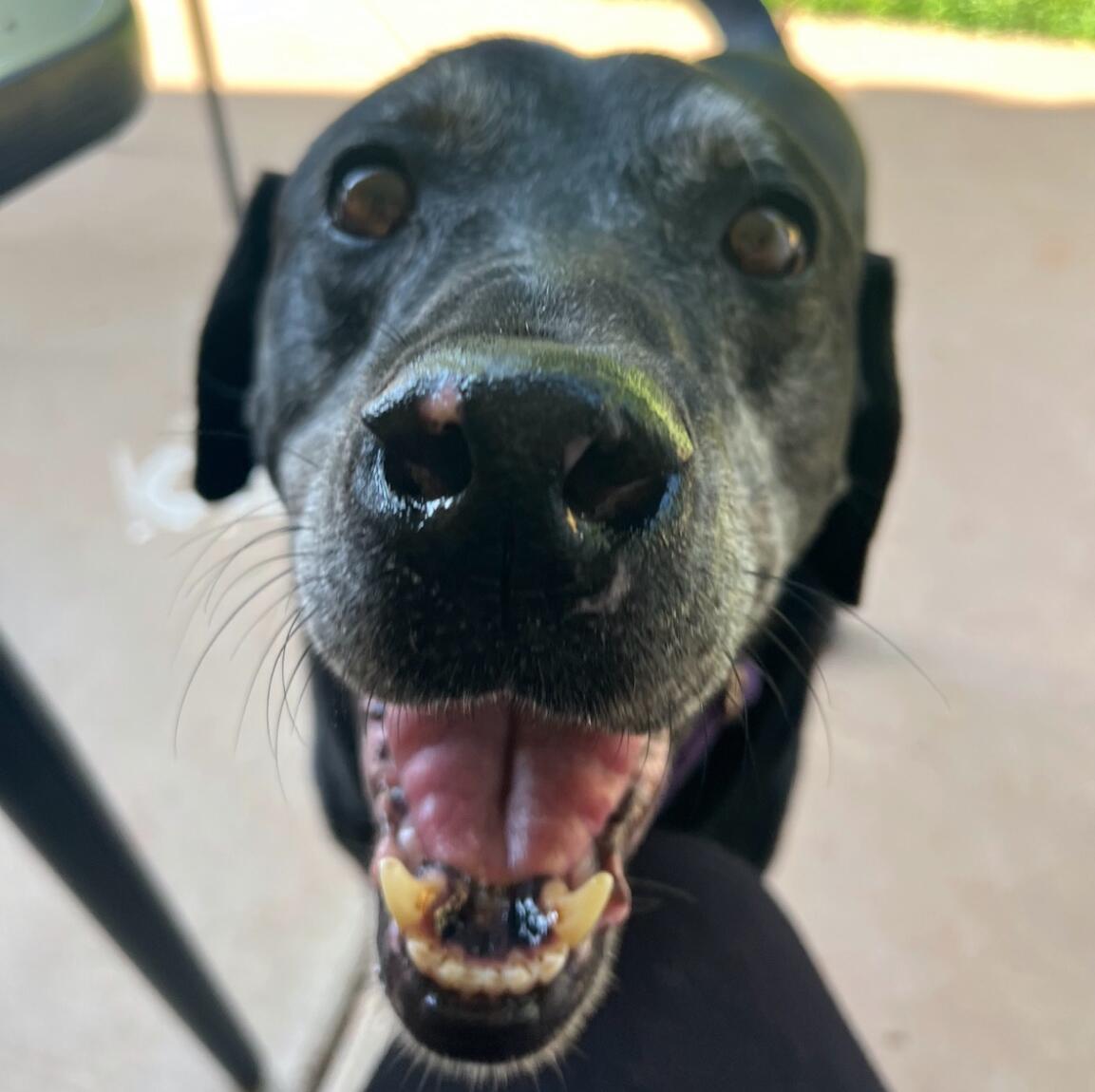 Shadow