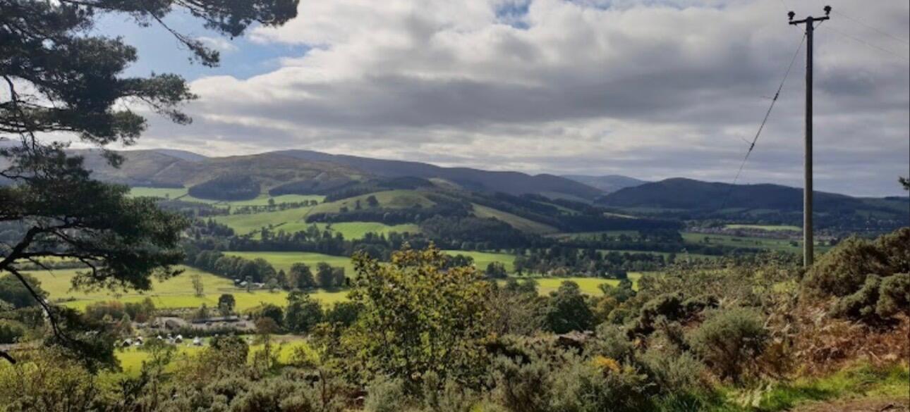 Picture of Go Ape Peebles, Glentress Forest