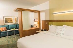 Picture of Springhill Suites Buffalo Airport