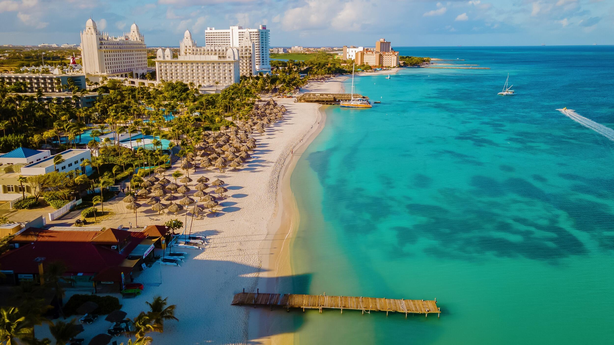 Picture of Palm Beach