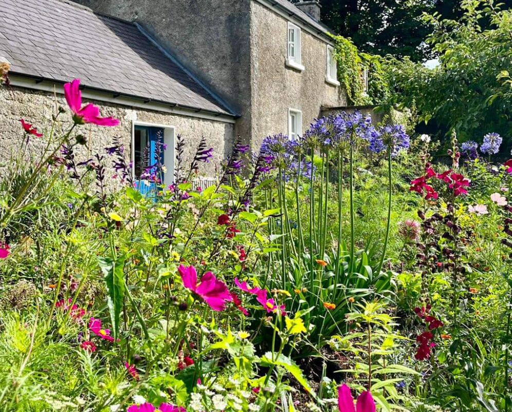 Picture of Air BNB option: Home In County Carlow
