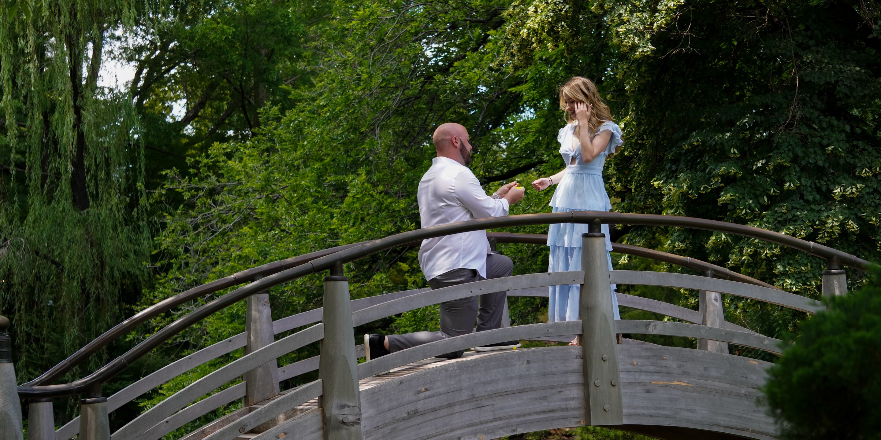 Abbey & Bradley Home Page Banner