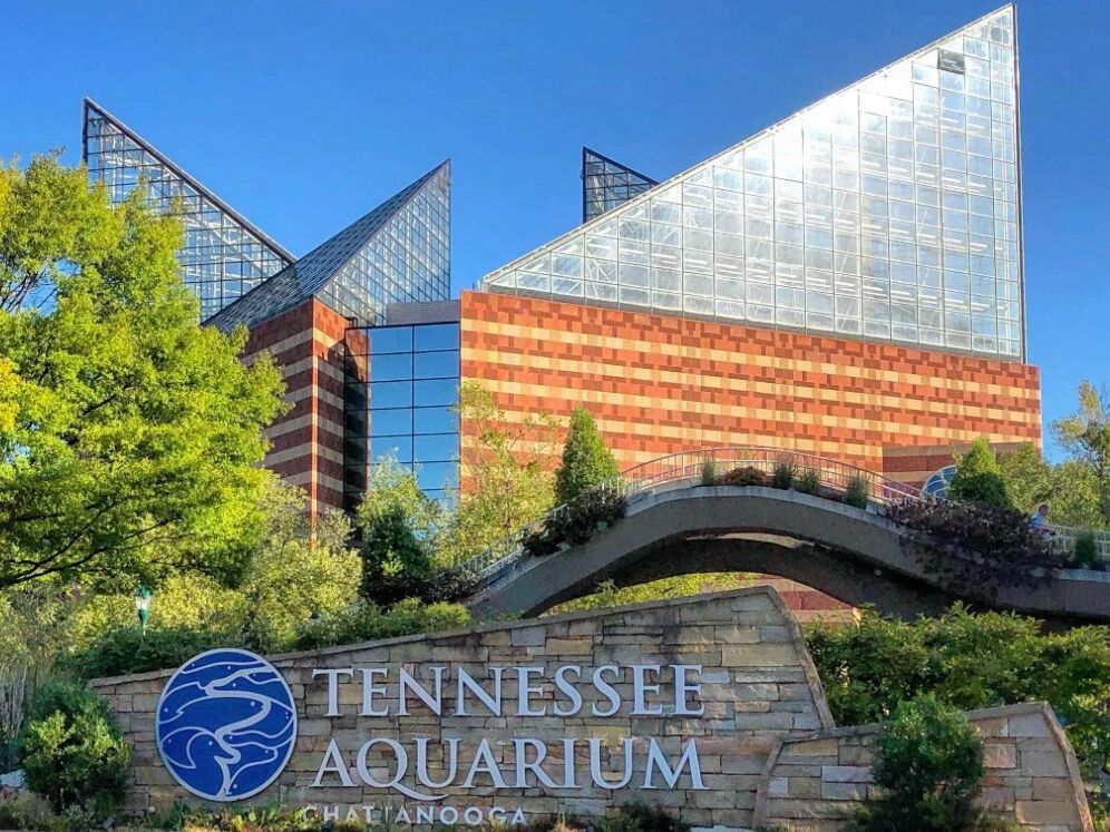Picture of Tennessee Aquarium