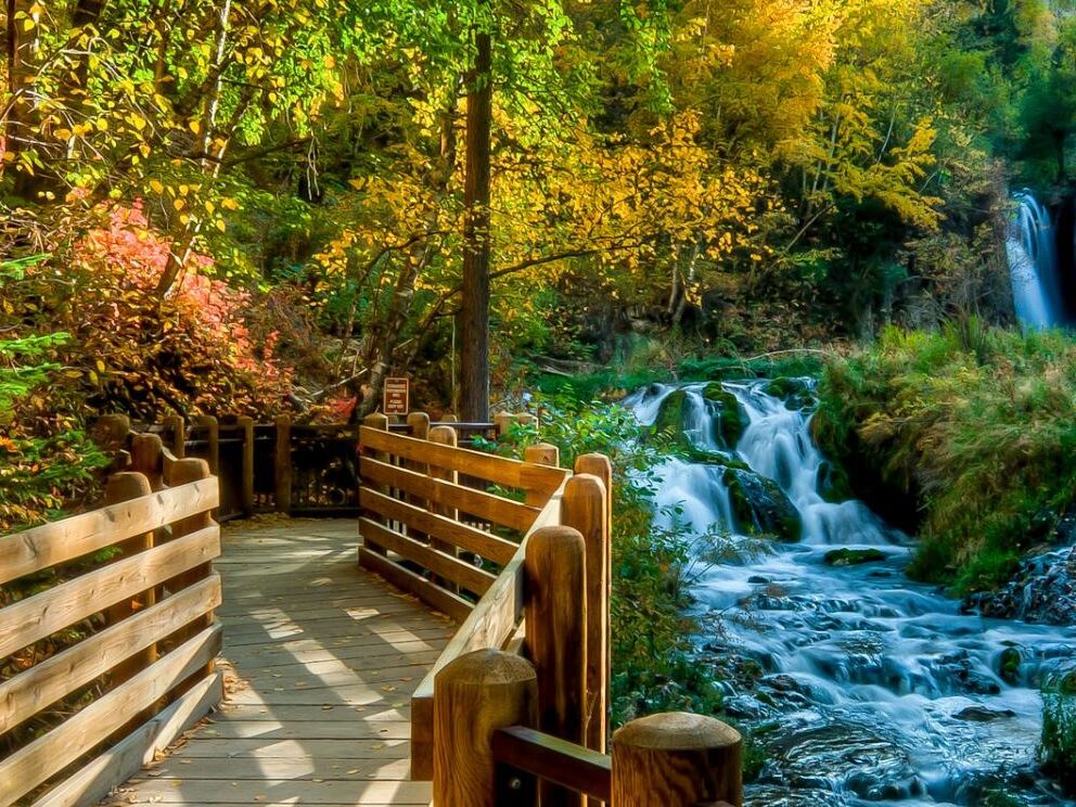 Picture of Roughlock Falls Trail