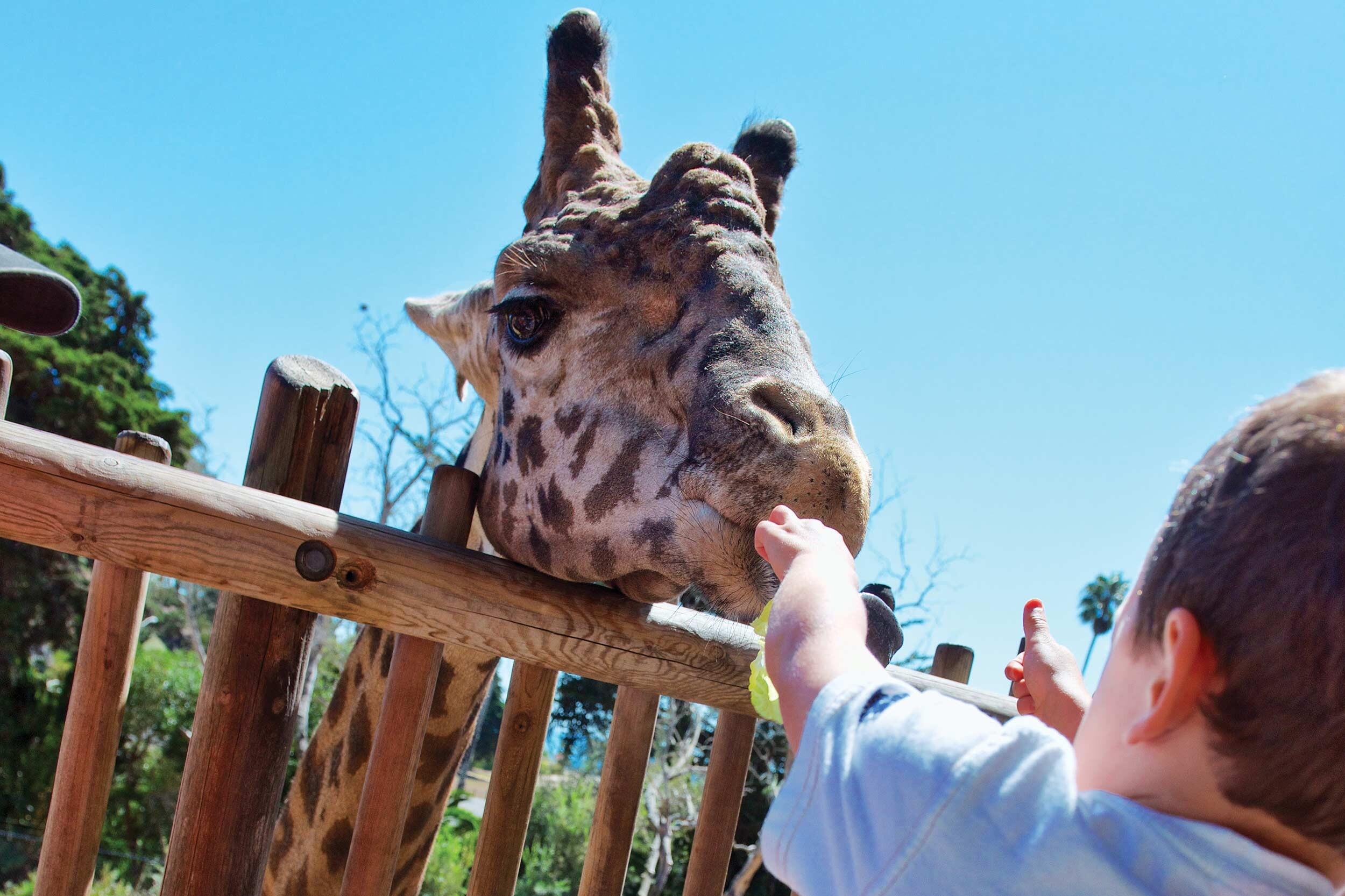 Picture of Santa Barbara Zoo