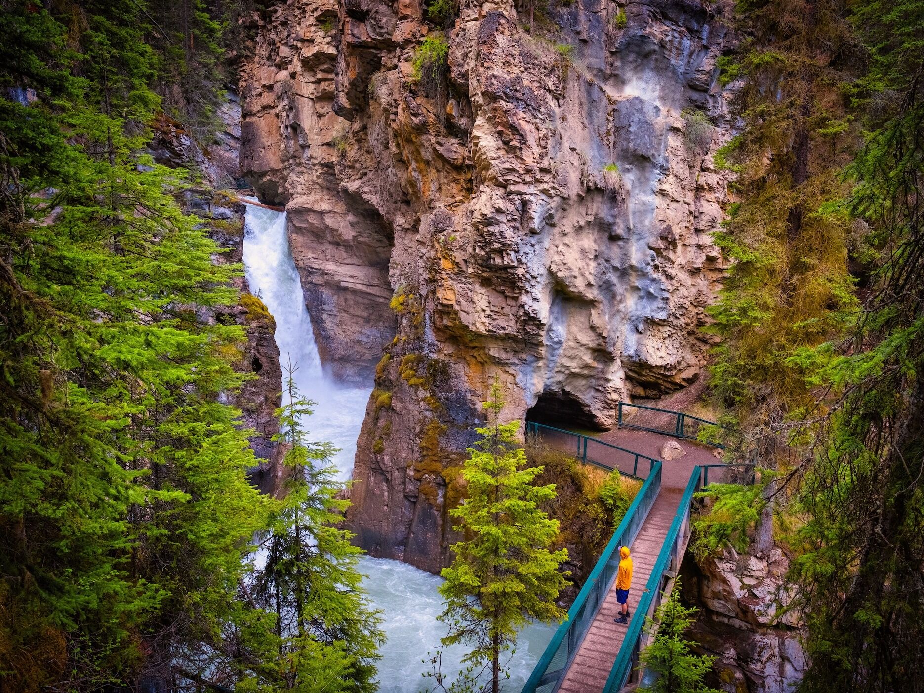 Picture of Johnston Canyon