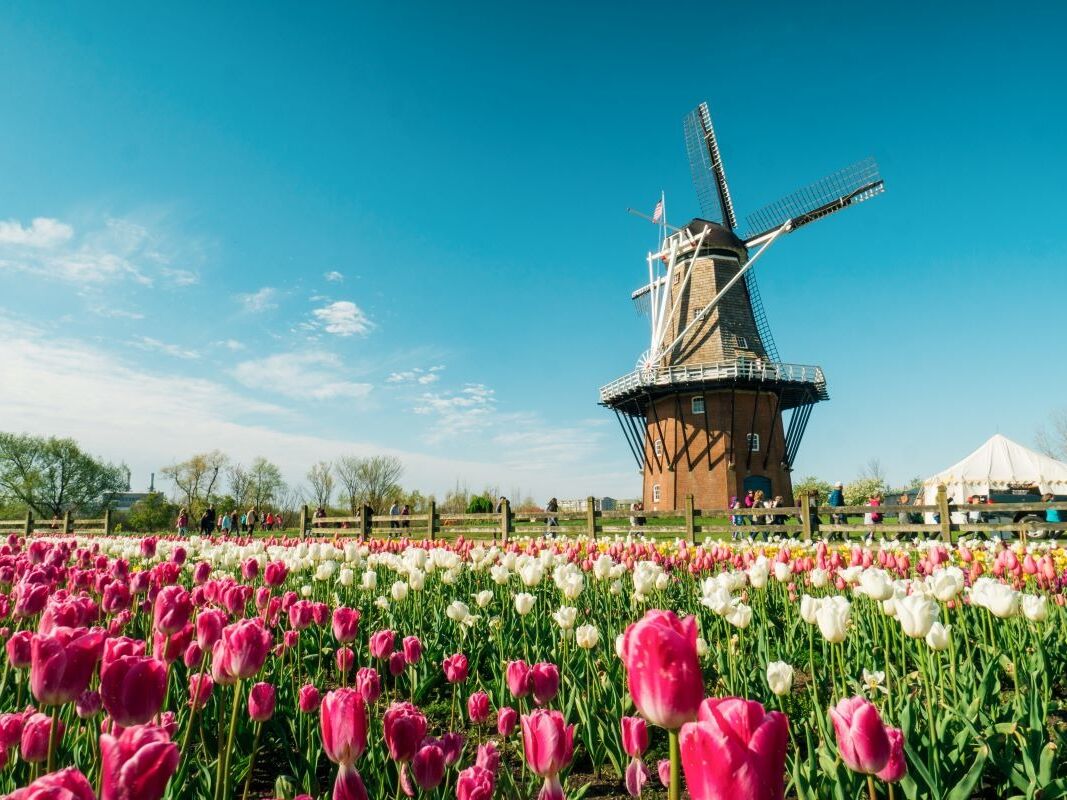 Picture of Windmill Island Gardens