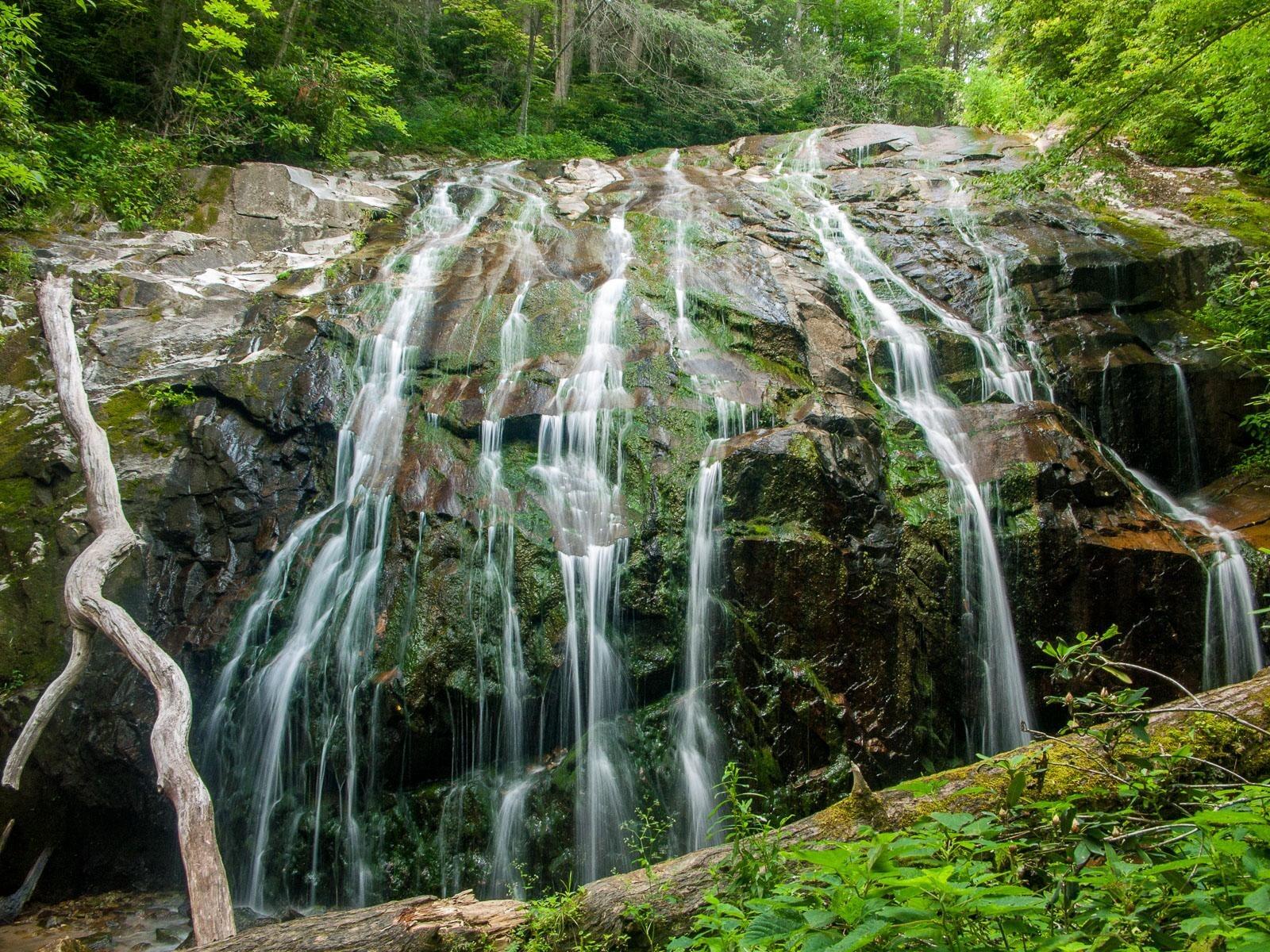 Picture of Glen Burney Falls Trail
