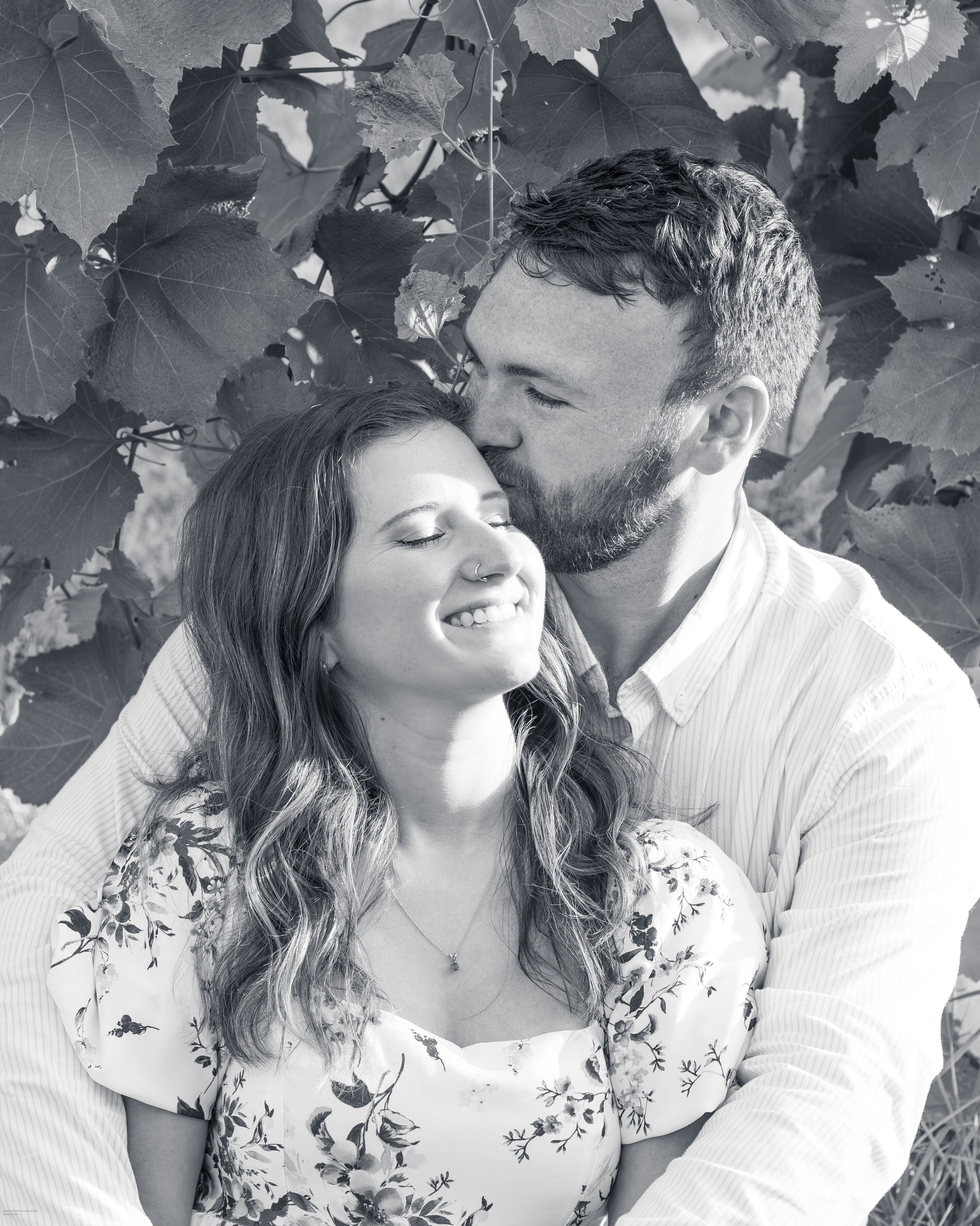 Emily & Gerritt Home Page Banner
