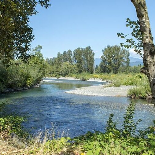 Picture of Vedder Park