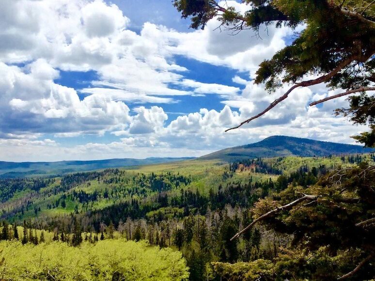 Picture of Brian Head Resort