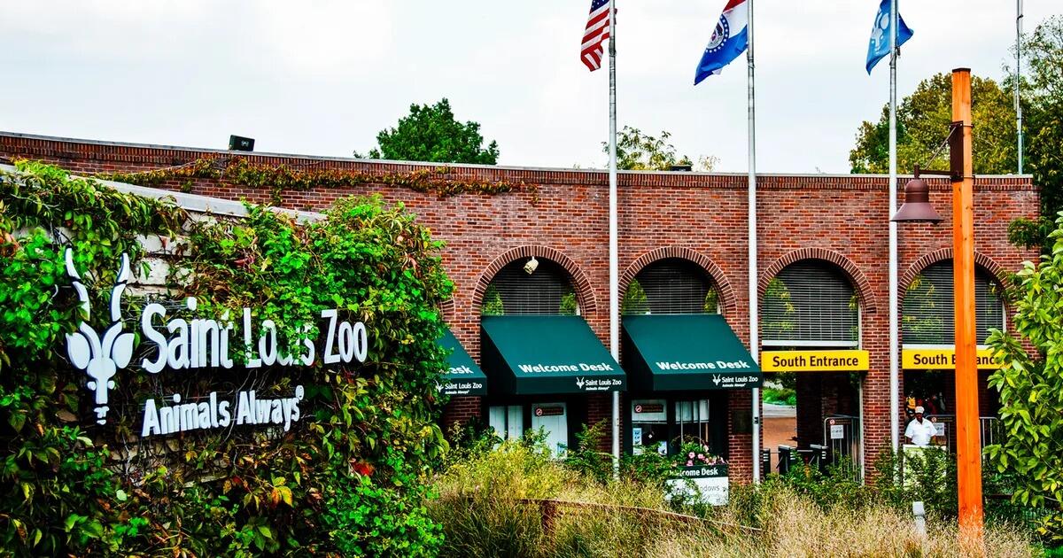 Picture of Saint Louis Zoo