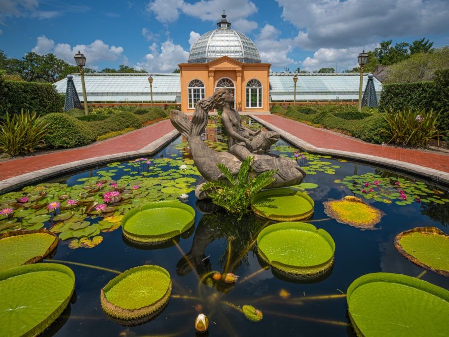 Picture of New Orleans Botanical Garden