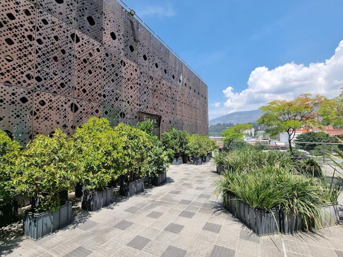 Picture of Medellin Modern Art Museum