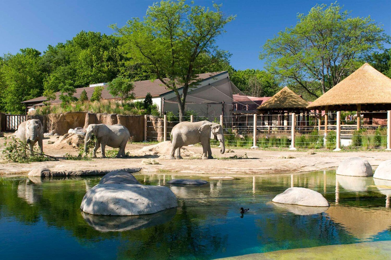 Picture of Cleveland Metroparks Zoo