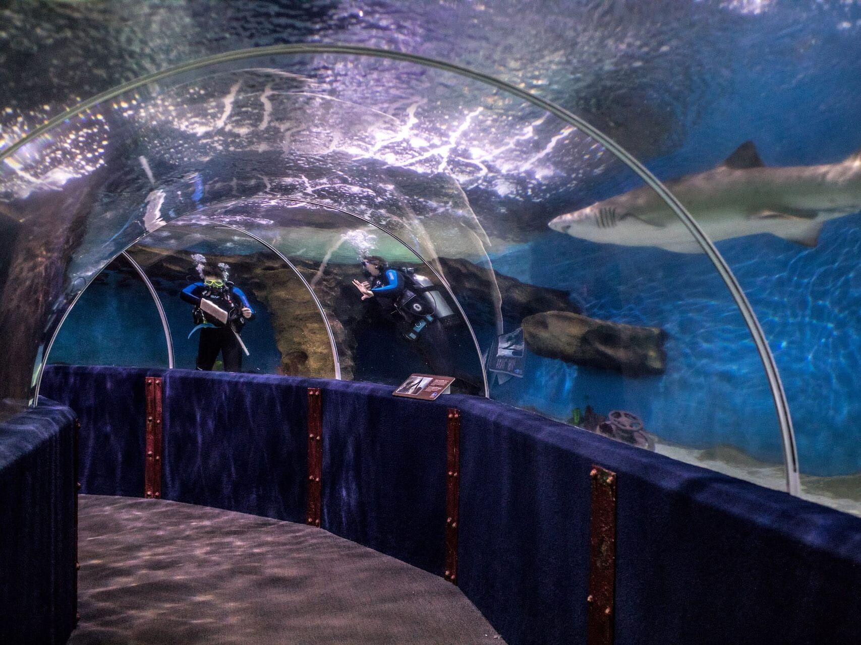 Picture of Greater Cleveland Aquarium