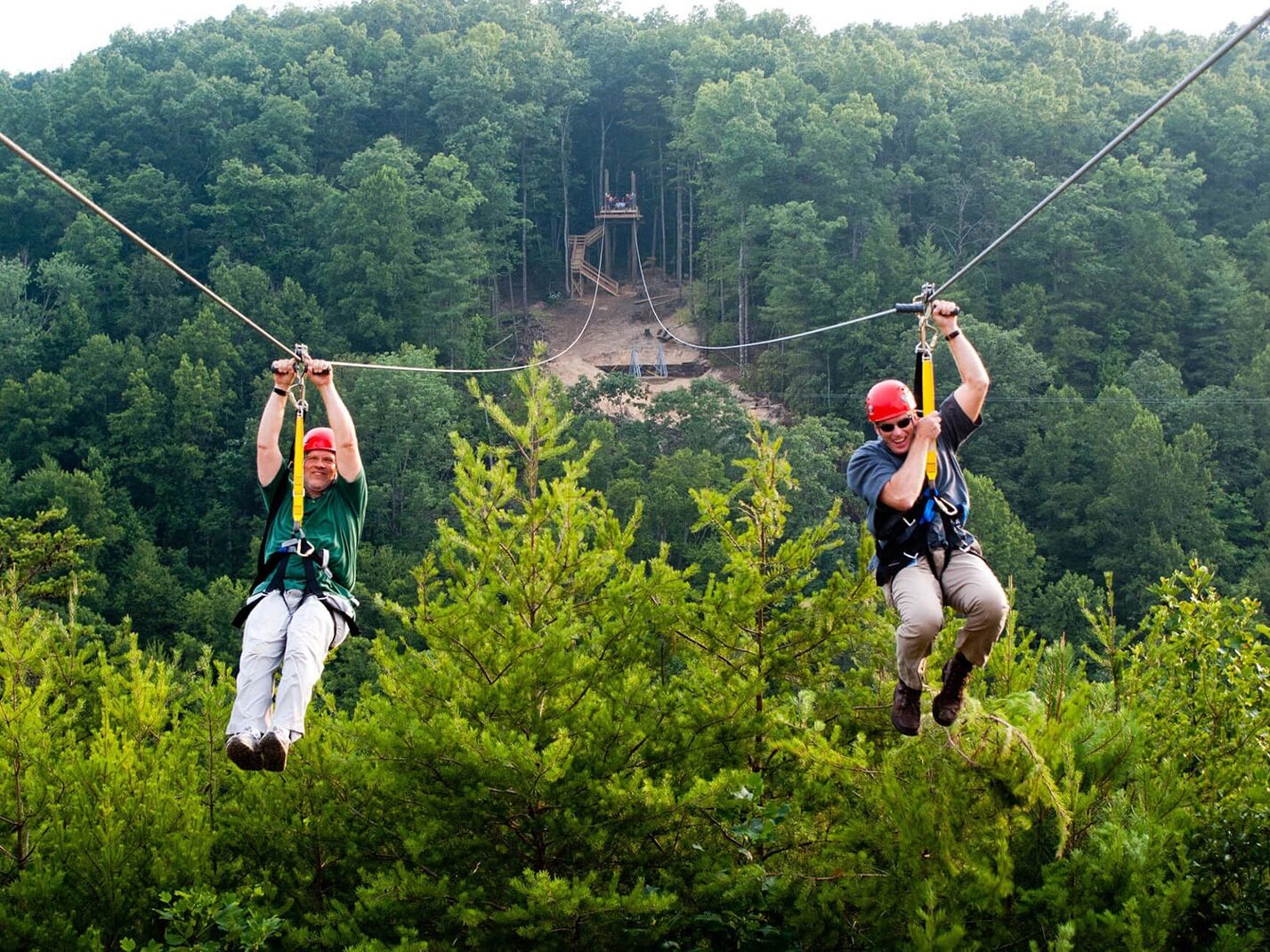 Picture of Zipline