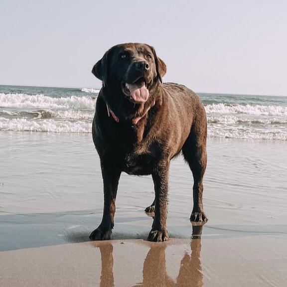 Ellie