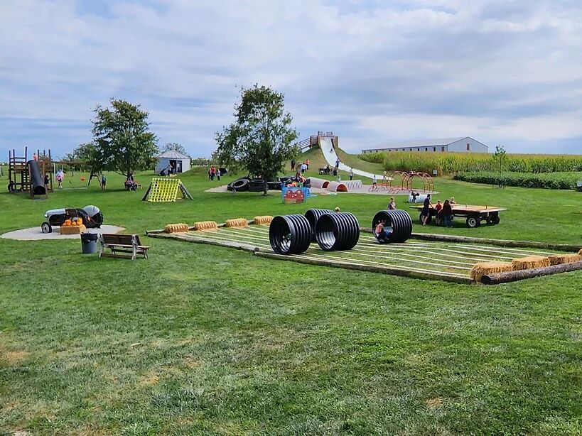 Picture of Mulberry Orchard
