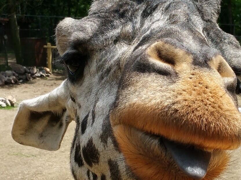 Picture of Lehigh Valley Zoo