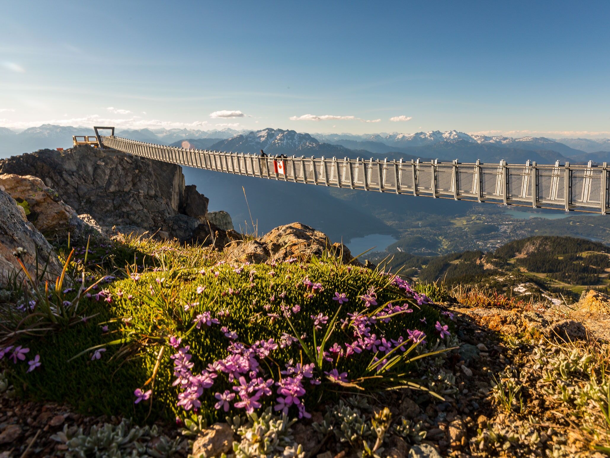 Picture of Suspension Bridge