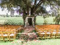 Outdoor wedding ceremony at vineyard