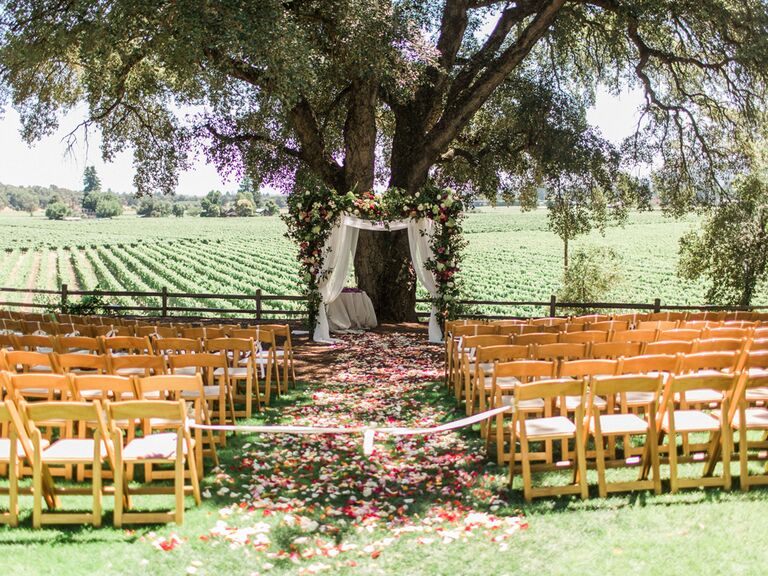 Outdoor wedding ceremony at vineyard