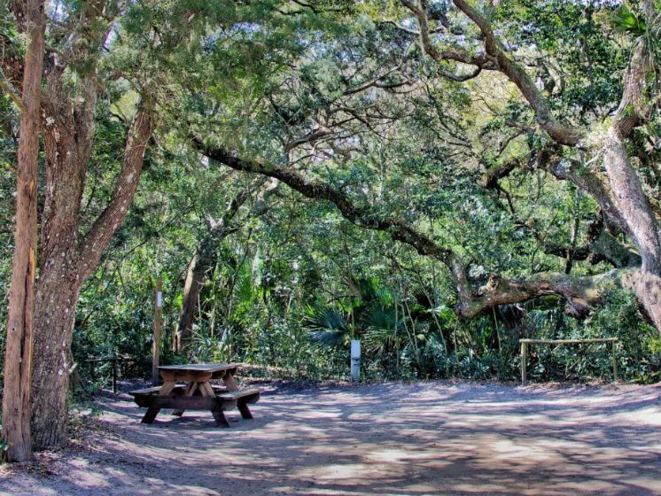 Picture of Anastasia State Park