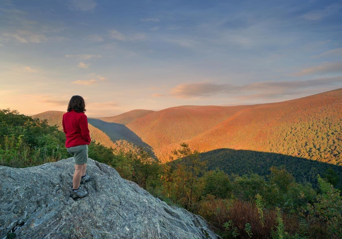 Picture of Appalachian Trail