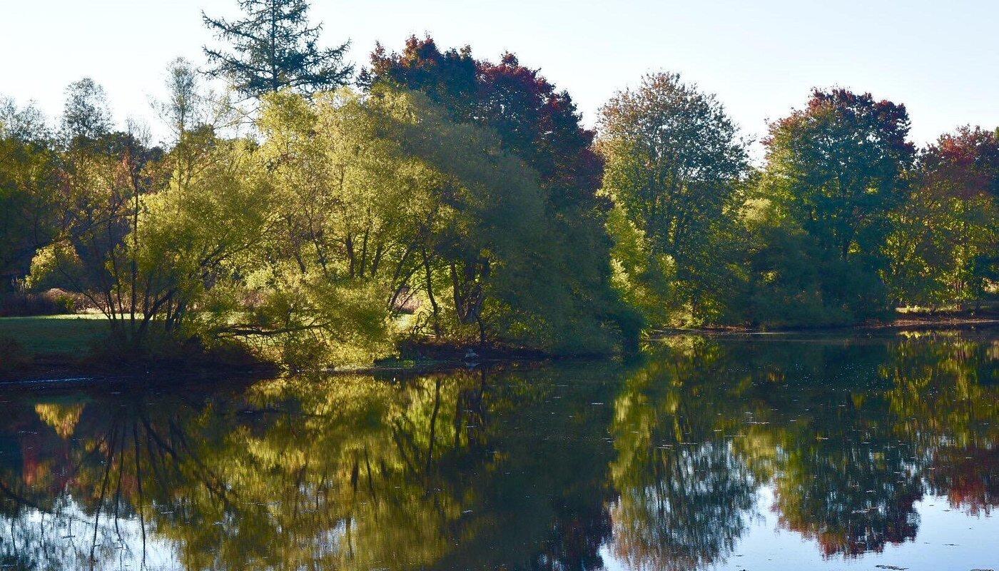Picture of Turkey Swamp Park