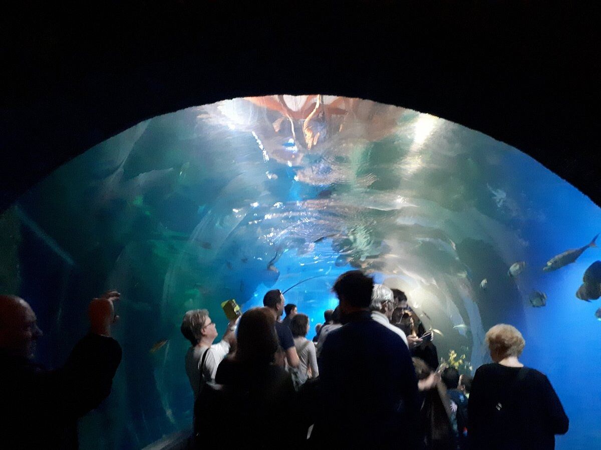 Picture of Wroclaw Zoo & Afrykarium