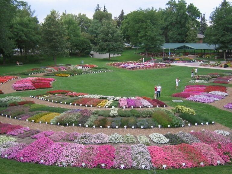 Picture of CSU Annual Flower Trial Gardens