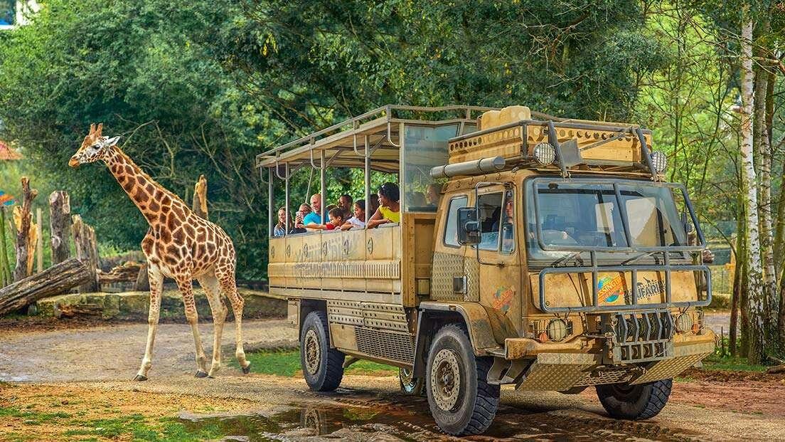 Picture of Chessington World of Adventures Resort