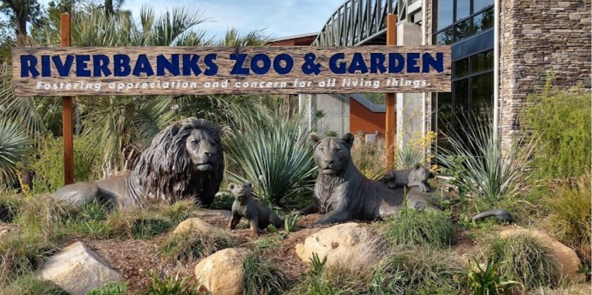 Picture of Riverbanks zoo