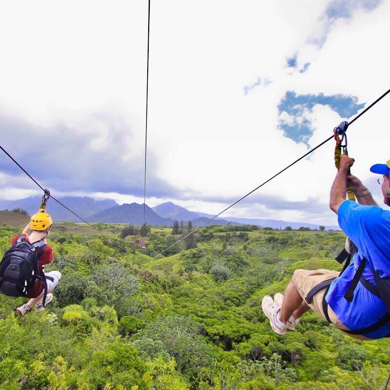 Picture of POSTOAK Canopy Tours