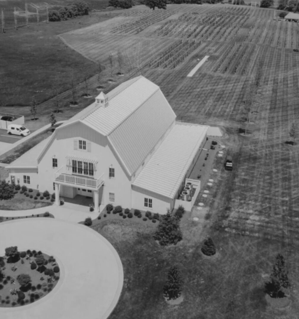 Picture of Providence Vineyard 
