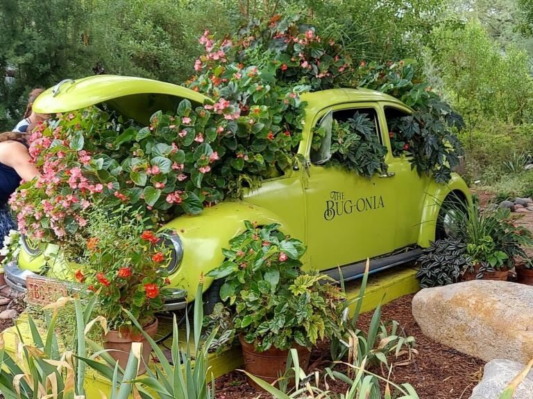 Picture of Tucson Botanical Gardens