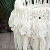 A Colorful Tented Wedding in Fallbrook, CA