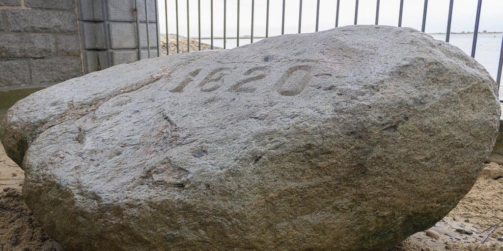 Picture of Plymouth Rock