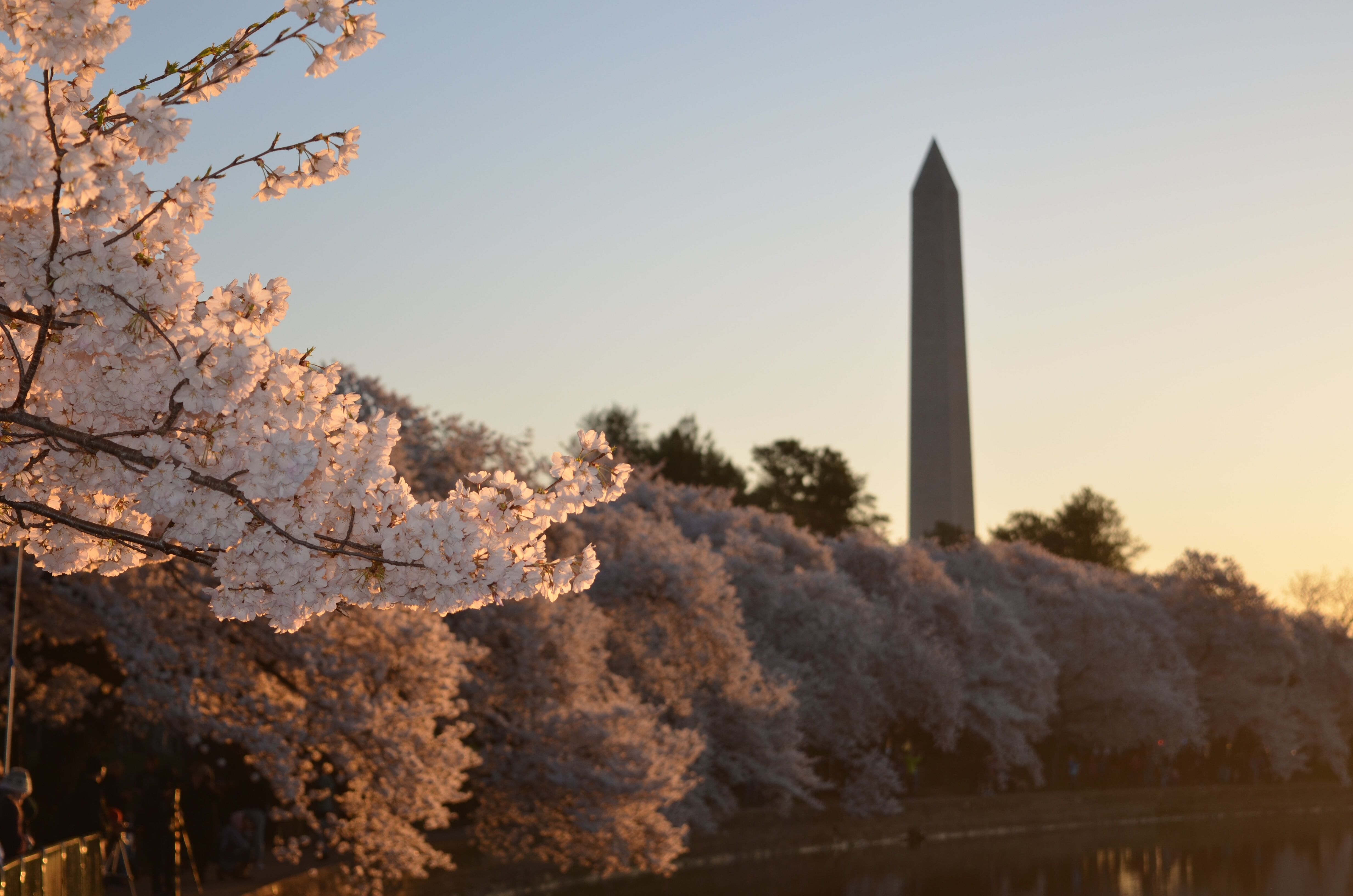 Picture of Washington, DC, USA