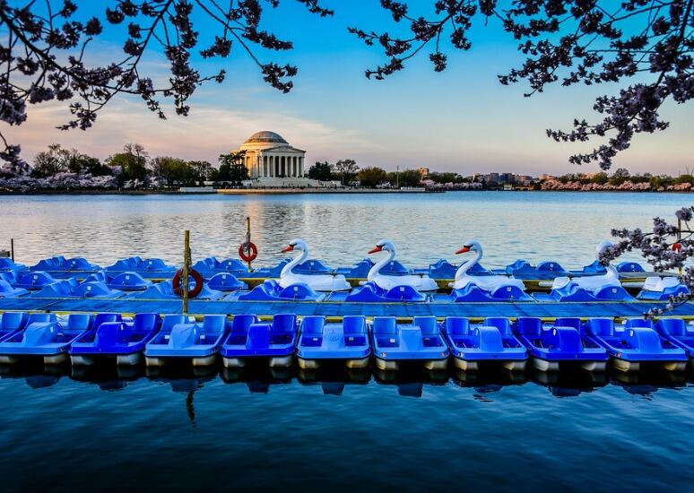 Picture of Tidal Basin