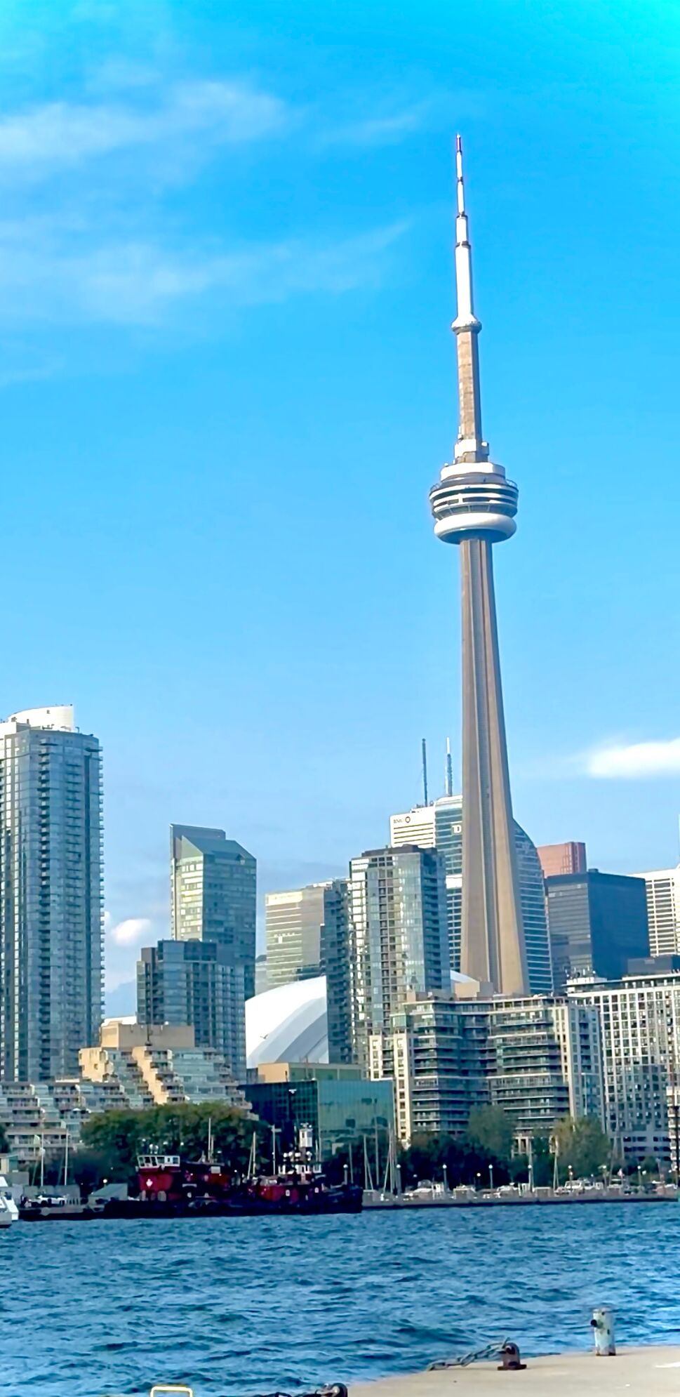 Picture of CN Tower