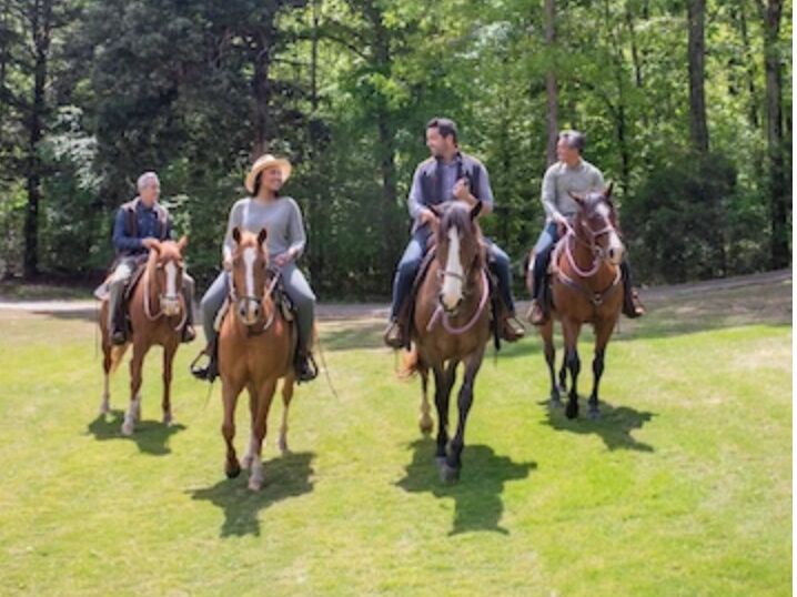 Picture of Horseback Riding