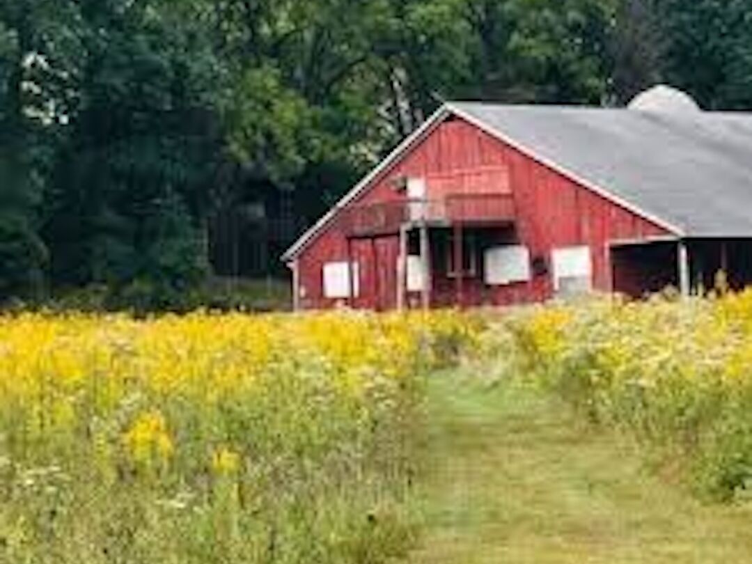 Picture of Sherwood Oaks Park